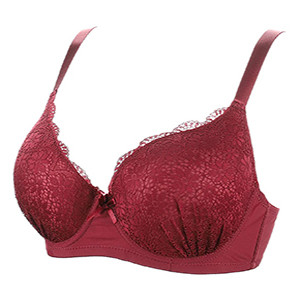 Lavender Padded Push Up Bra - BRAPP