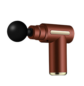 Multi Level Frequency Conversion Vibration Muscle Massage Gun, Deep Tissue Percussion Body Muscle Massager with 4 Interchangeable Heads-  FCH30